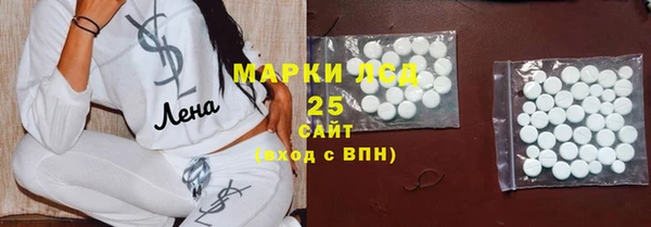 стафф Арсеньев
