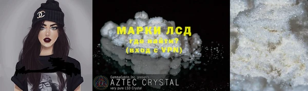 стафф Арсеньев