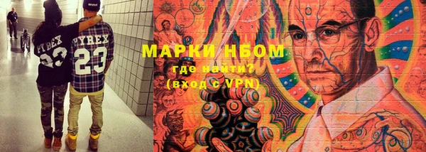 стафф Арсеньев