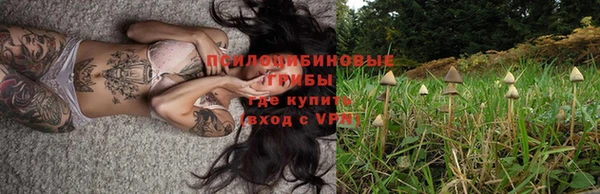 стафф Арсеньев