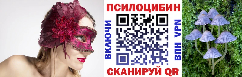 Псилоцибиновые грибы мухоморы  где купить наркоту  Казань 