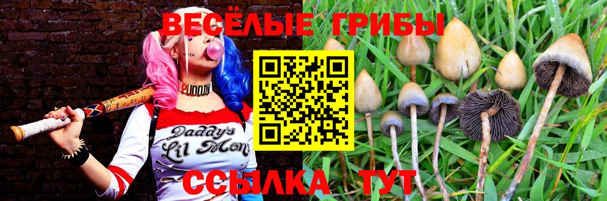 Псилоцибиновые грибы мухоморы Казань